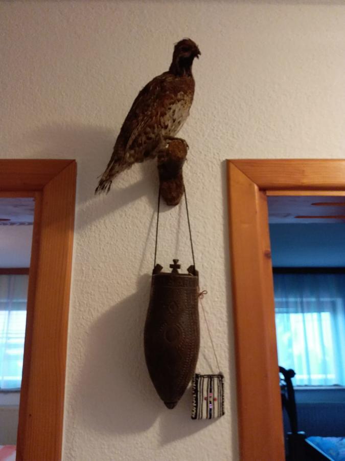 Kuca Za Odmor Sarcevic Apartment Prozor Bagian luar foto